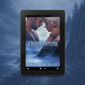 A Rebel's Storm eBook