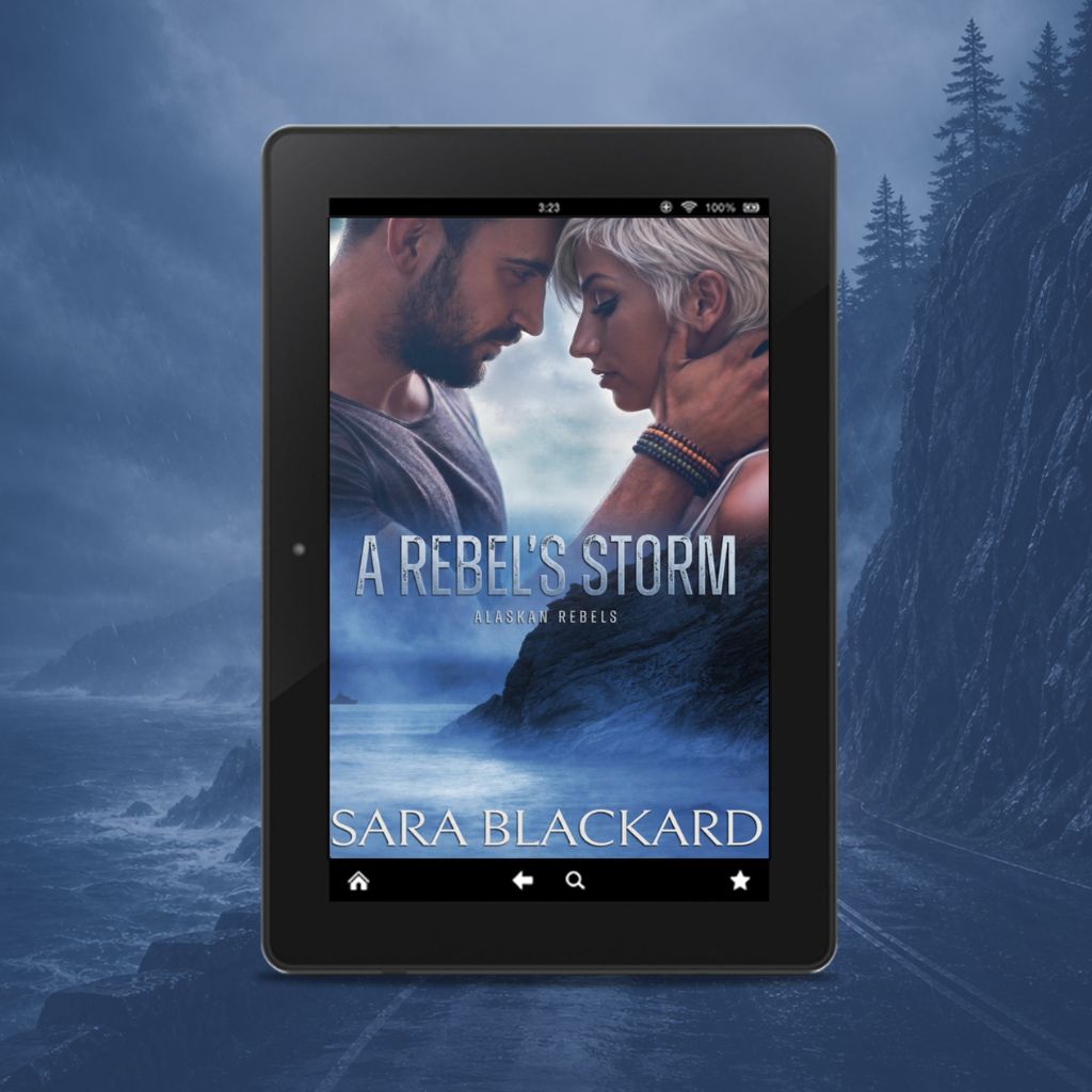 A Rebel's Storm eBook