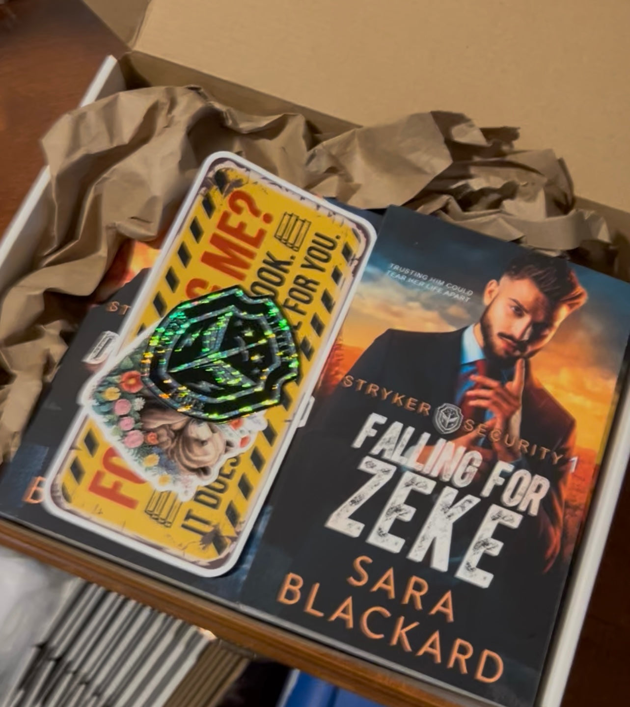 Stryker Security Force Series Paperback Bundle